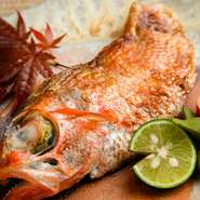 例えば、のどぐろは焼き魚に、きんきは煮付けに…など、季節ごとの旬の魚を、最もその素材のおいしさを引き立てる調理法で提供するのが料理人のこだわりです。（季節・仕入れにより鮮魚の種類は異なります。）