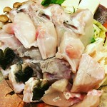 2キロオーバーの活けトラフグ使用しています
天然とらふぐご希望の場合は時価となります。