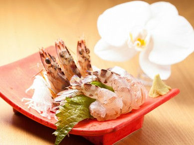 R6年は12月４日より初出荷 ! 冬季限定『宮古島産活き車海老踊り』