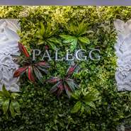 インドネシア・バリ島から船で運んでもらったというお店のレリーフ。”PALEGG”の文字がグリーンによく映えて、壁に陰影を加え、落ち着きのある雰囲気を醸し出しています。