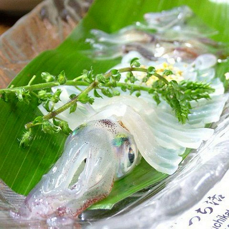 透き通り、皿の上でもまだ動いている！『活いか刺』は生ウニ入りの「ウニ玉醤油」でどうぞ