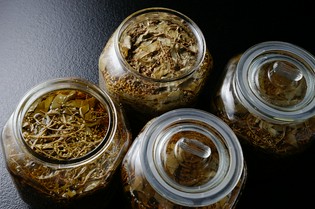 縄文人が食べていた山の恵み