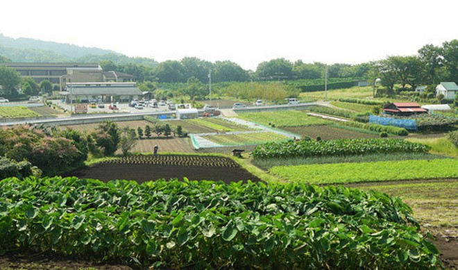 食材にこだわっている