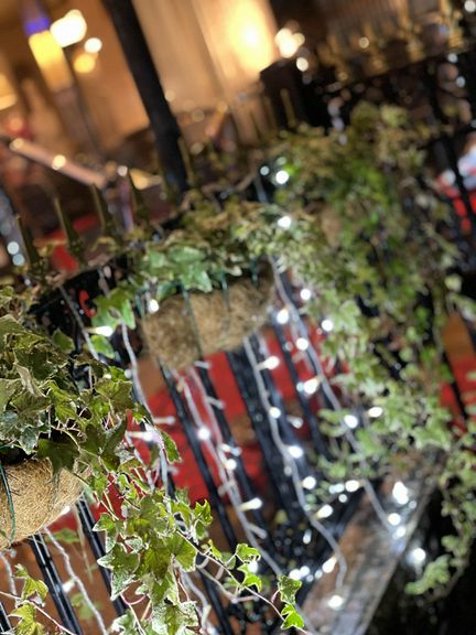 テラスイルミネーション