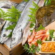 提供している海鮮類のすべてが天然ものです。市場へ直接足を運び目利きを活かし、選りすぐって仕入れている食材。四季折々に美味しい旬のもので新鮮です。素材がもつ本来の旨みを存分にご堪能いただけます。