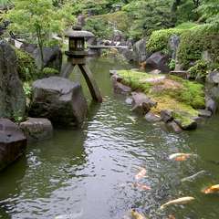 季節を映し出す日本庭園。四季折々の風情あふれる空間