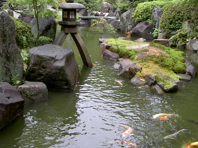 季節を映し出す日本庭園。四季折々の風情あふれる空間