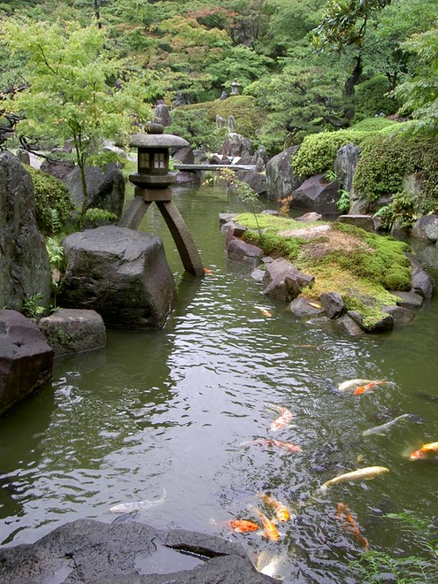 景色がきれい