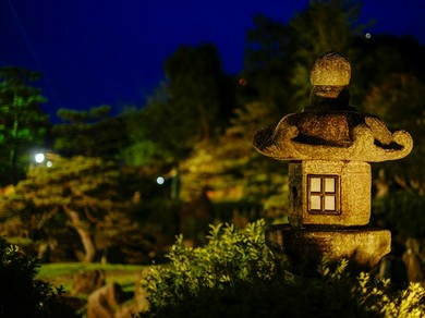 アイトアップされた日本庭園