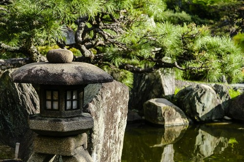 季節の移ろいを感じられる美しい日本庭園