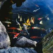 昭和の作庭家重森三玲氏による庭園