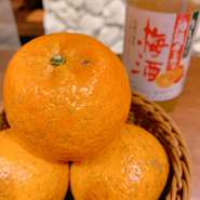 沖縄冬のフルーツの代名詞と言えば “タンカン”。生搾り果汁を使用した女性に人気の梅酒です！