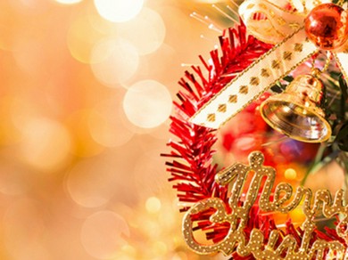 クリスマスコース