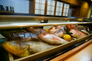 毎日市場で目利きのプロが厳選して仕入れている旬魚