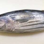 ・刺身：1300円～
・タタキ：1430円～
・なめろう：820円～
・ゴマ油漬：920円～
・土佐巻：1230円～