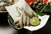 うろこがサクサクッ酒のつまみに最高!!数量限定でお出ししております。