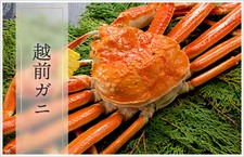 専属バイヤーが目利きをし、厳選した日本海タグ付蟹のみ使用。
圧倒的な旬蟹の味わいを是非、ご堪能下さい