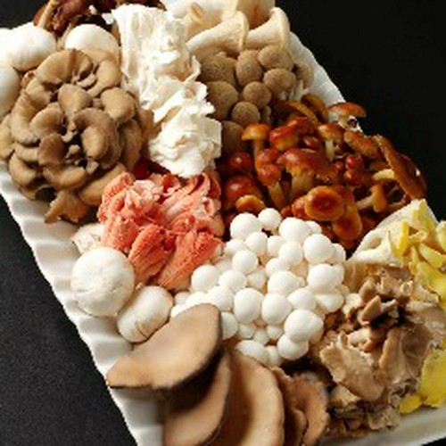 信州産直送の色々なきのこ達