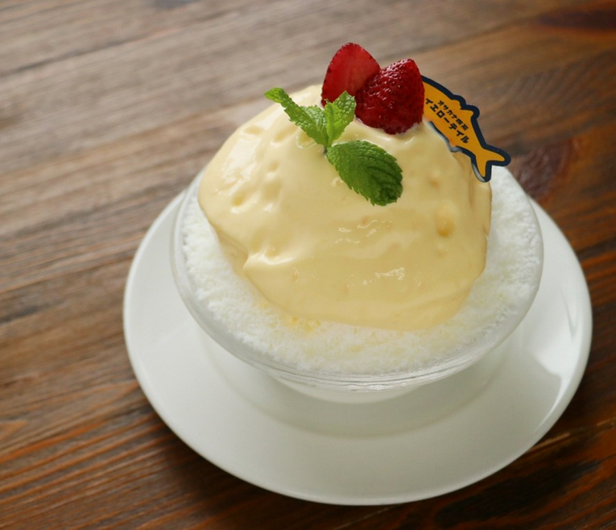 自家製プリン