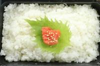 ※ぶりかつ弁当、サーモンカツ弁当、大葉包みのアジカツ弁当の３種には
220円でトッピングできます！