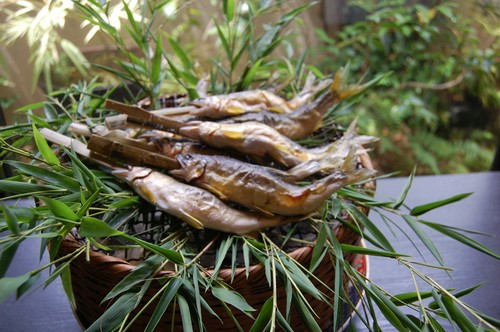 天然鮎の塩焼き