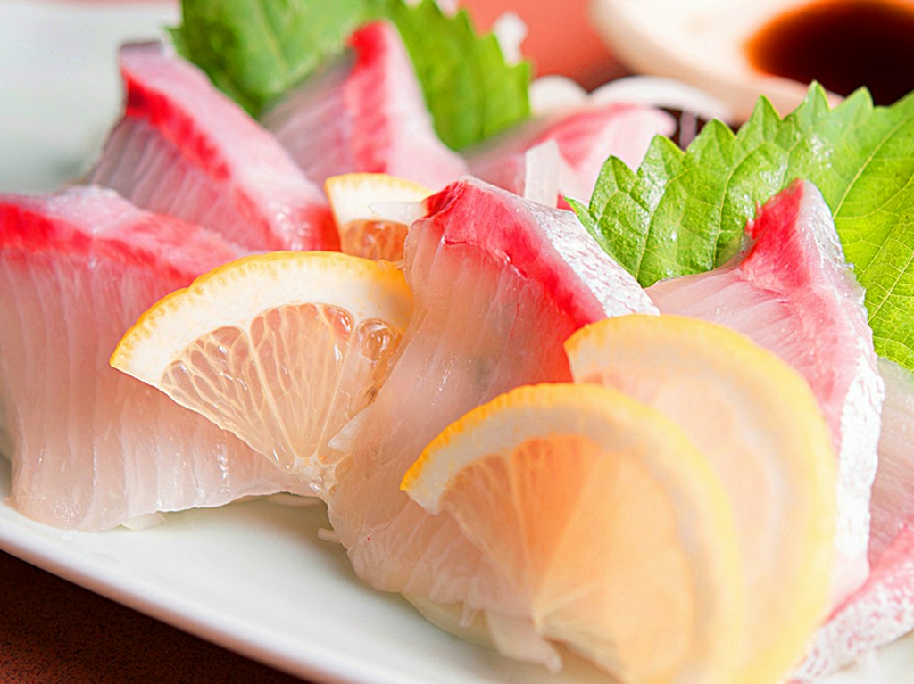 本日の刺身