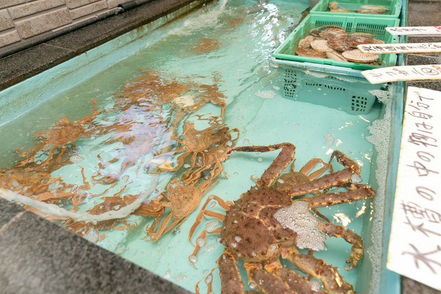 生きている魚介をいけすから選んで食べる、という特別体験