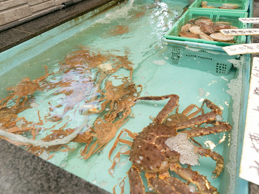 生きている魚介をいけすから選んで食べる、という特別体験
