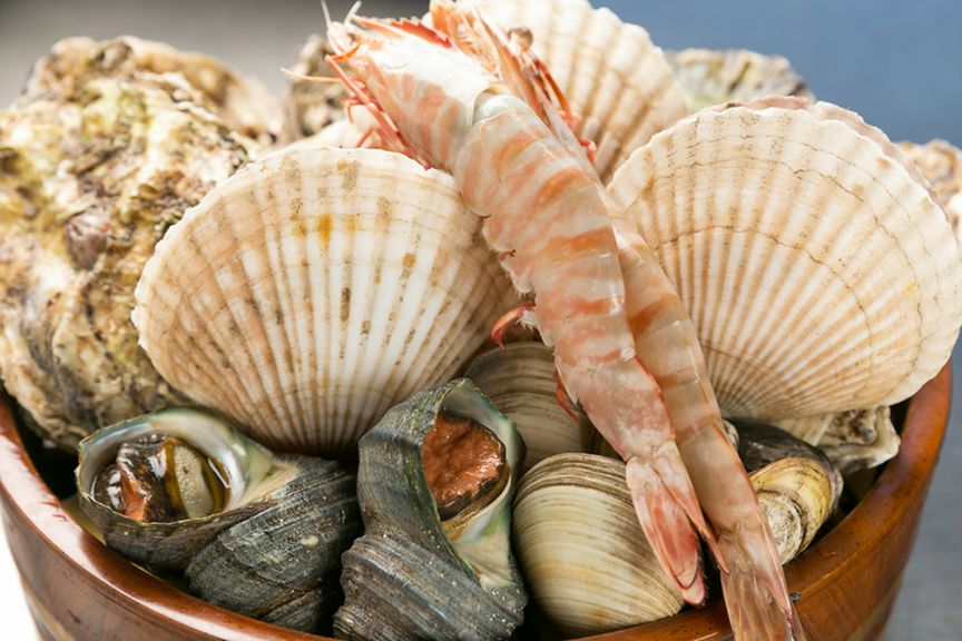 BBQに必要な魚介が一通り揃った『魚介の盛り合わせ』