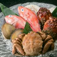 店舗1Fにあるのは、老舗鮮魚店「旭屋佐藤本店」。確かな目利きで吟味された多彩な鮮魚が並びます。選び抜かれた食材は、料理人の技と経験で至極の一皿へと昇華。素材本来の旨味が際立つ料理で海の幸を満喫できます。