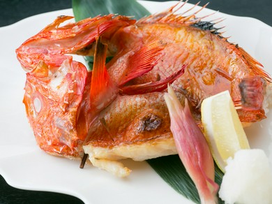 白身魚の中でも格段に脂の乗りが良いきんきをシンプルに塩で焼き、旨味を引き出した絶品料理『きんき焼き』