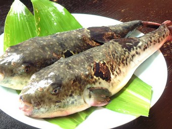 2.5時間　7000円　税別　飲み物別　
ファーストドリンクサービス