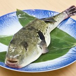親しい方とのちょっとした食事にも◎おまかせ料理感覚でコース料理をお楽しみください♪