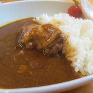 河内鴨をじっくり煮込んだほんのりスパイシーなカレーです。
【トッピング】
河内鴨のロースかつ　400円
河内鴨のミンチかつ　200円
海老フライ　300円
カレーとごはんの大盛りは+200円です。