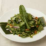 3種のパクチーサラダ