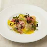 2色ビーツと真鯛のカルパッチョ　