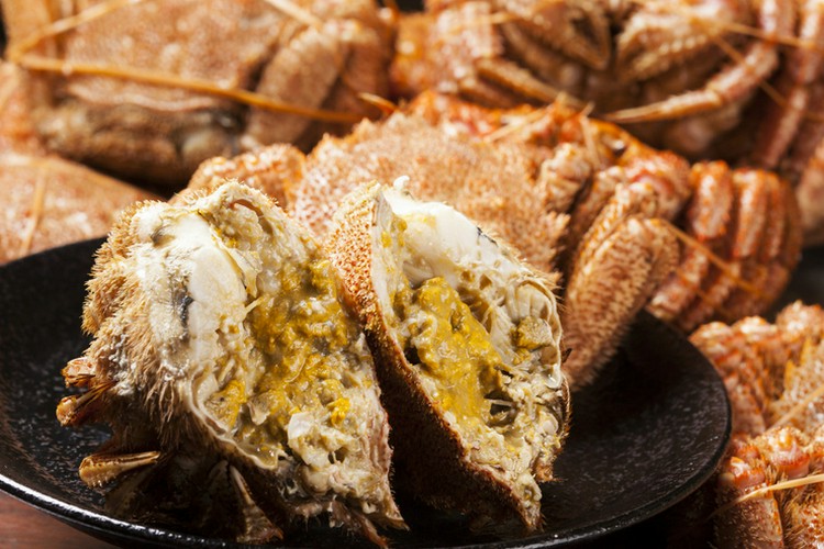 大漁舟盛り居酒屋 大海物語 すすきの/居酒屋 | ヒトサラ