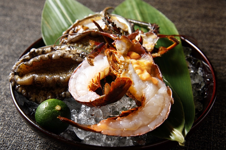 소나무 - Matsu - 호화 현란 코스