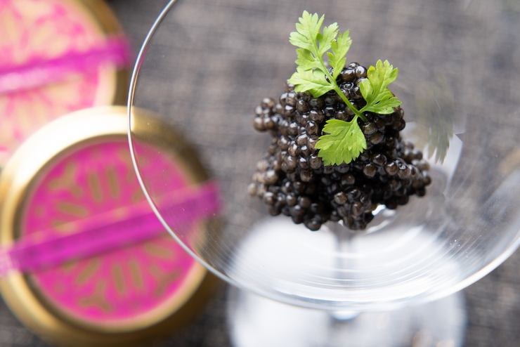 Khóa học đặc biệt Fuji