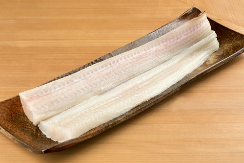 築地ではあまり入荷しない「伝助穴子」