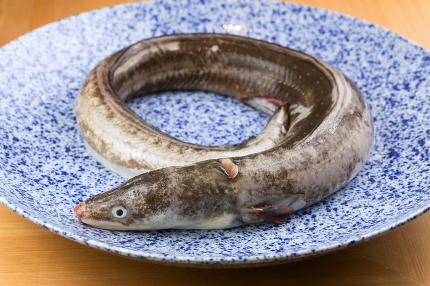 能登・加賀・瀬戸内の旬魚介、金沢直送の加賀野菜などが集う
