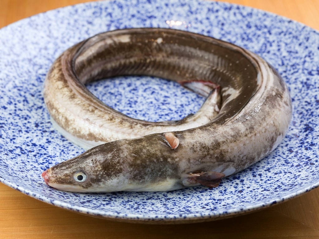 能登・加賀・瀬戸内の旬魚介、金沢直送の加賀野菜などが集う