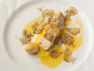 FLATTORIA