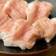 主に九州産と三重県産のものを厳選して使用しています。新鮮なプリプリの脂付きのシマチョウです。