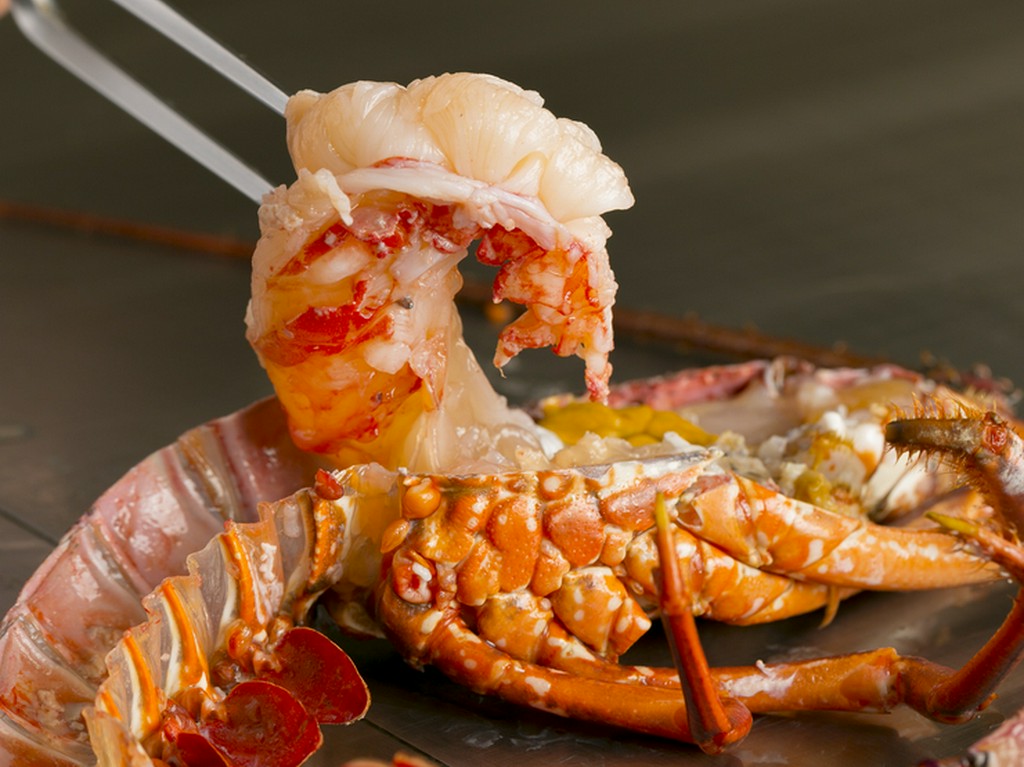 新鮮ならではのプリプリ食感『活国産イセエビ』