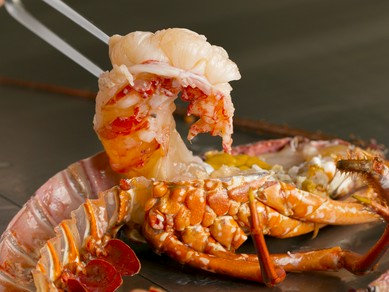 新鮮ならではのプリプリ食感『活国産イセエビ』