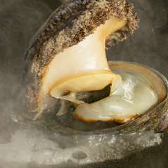 柔らかく、磯の風味漂う濃厚な味わい『活鮑』