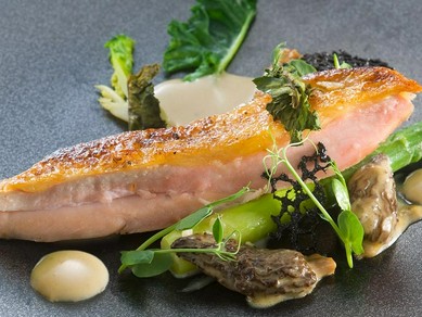 平日限定　プレジール