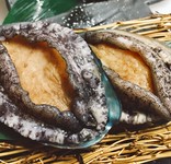 アワビの鉄板焼きと特選黒毛和牛ステーキの贅沢コース 名物「神戸牛ハンバーググラタン」付き
※アワビは時価のため価格が変動することがあります。お電話にてお問い合わせください。

写真はイメージです。