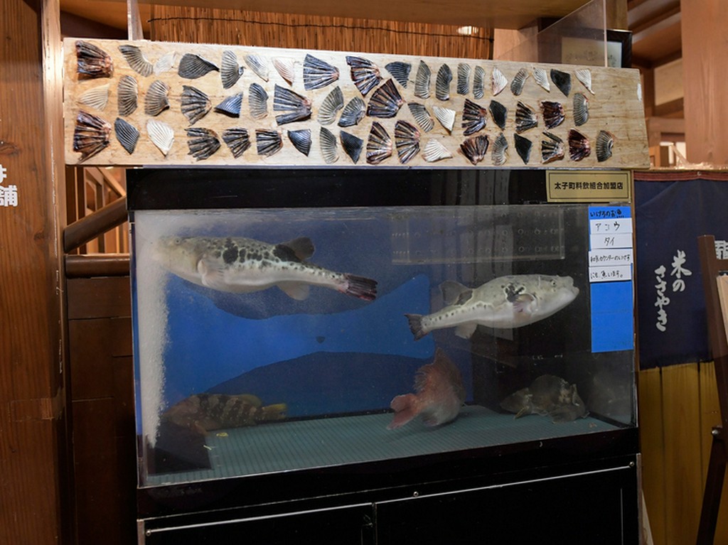 瀬戸内海で獲れた新鮮な魚介類、九州産黒毛和牛や黒豚